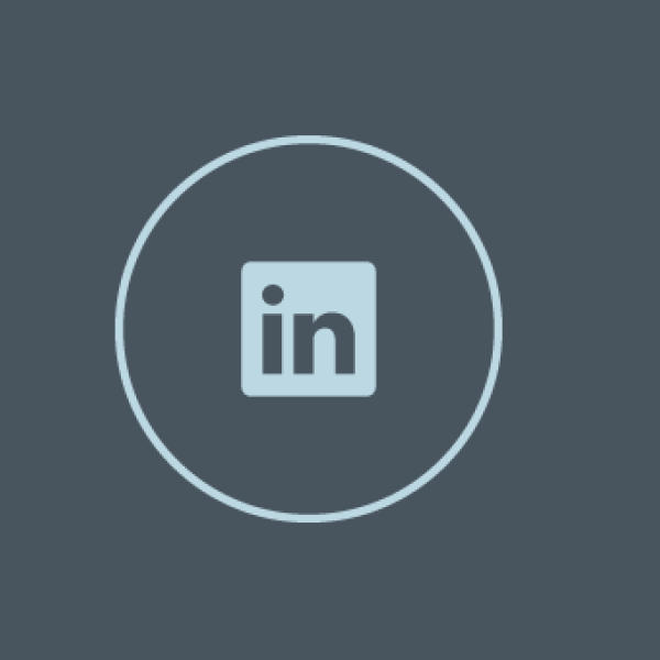 LinkedIn icon.
