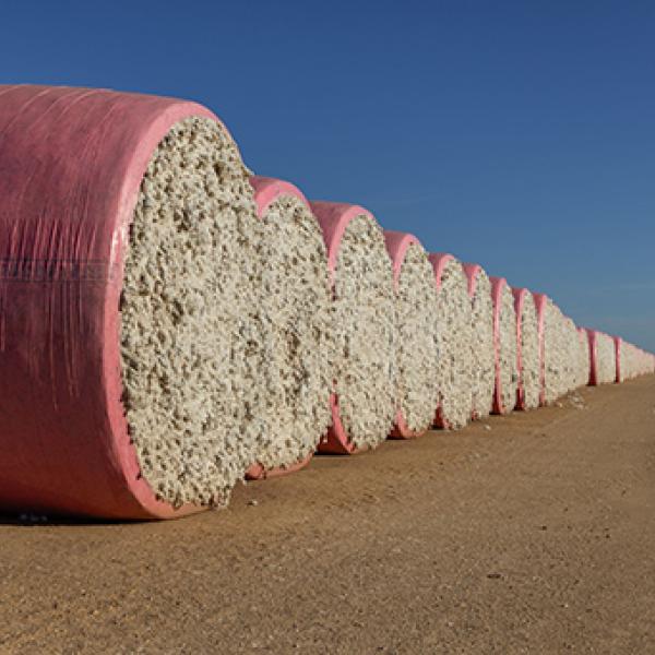 Cotton Bales.